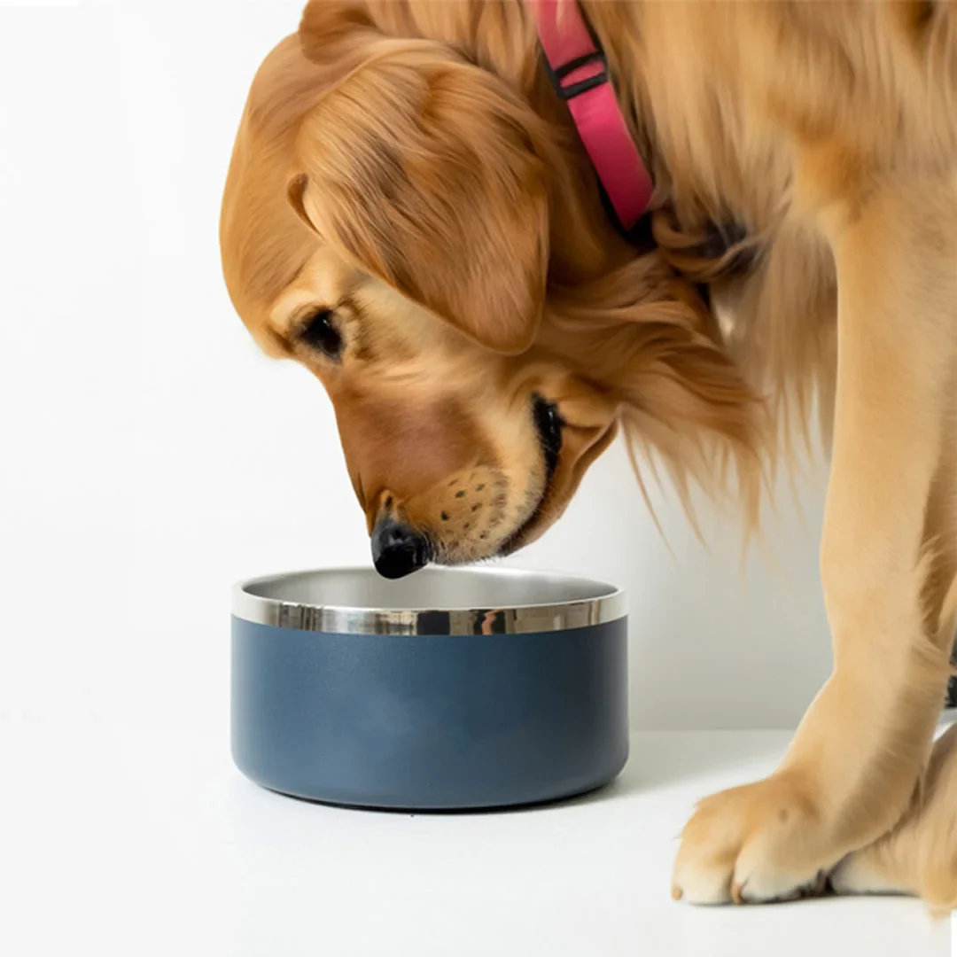 Promo Brands Tucker Pet Bowl - Image 2